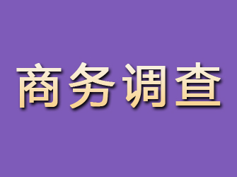 汪清商务调查