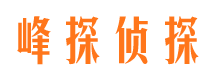 汪清市调查公司